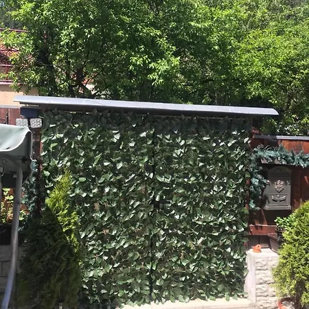 Casa Printre Gradini * Brasov